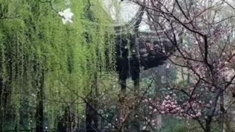 早春 在线观看,春意盎然,在线感受生命复苏之美 第2张 早春 在线观看,春意盎然,在线感受生命复苏之美 第2张